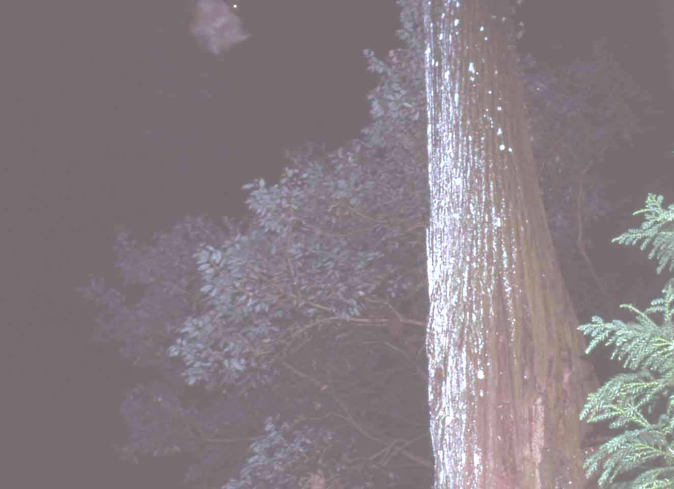 f0047593_20473753.jpg