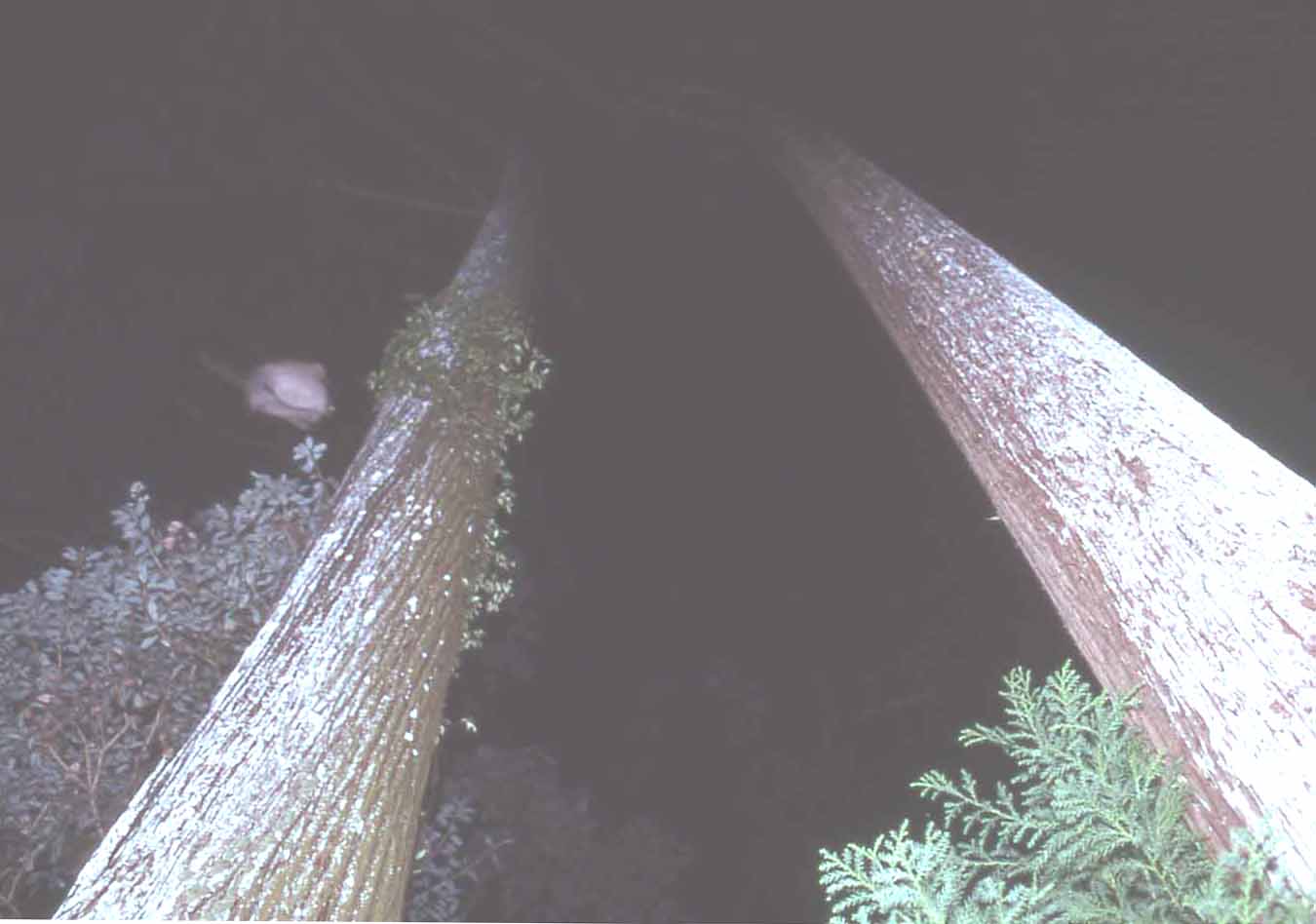 f0047593_20491783.jpg