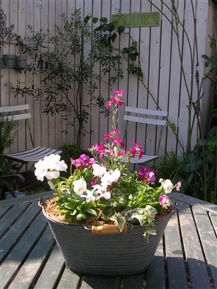 d0090298_236945.jpg