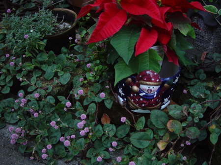 a0011999_22395365.jpg