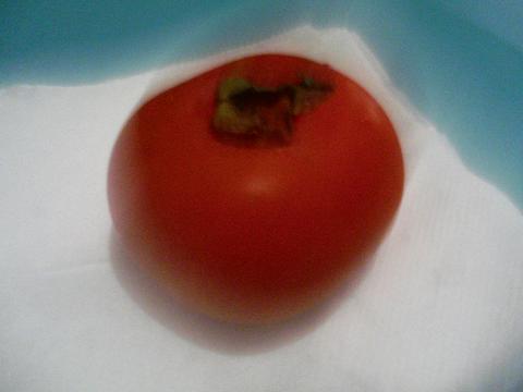 e0012800_21321316.jpg