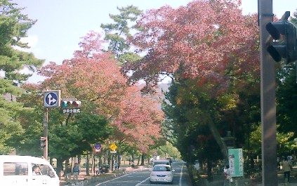 d0007913_0304976.jpg