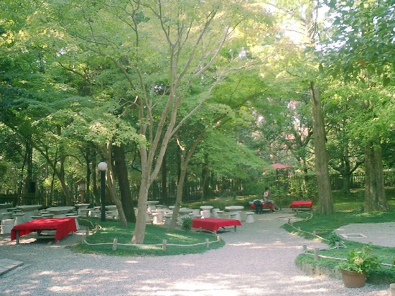 d0007913_0361725.jpg