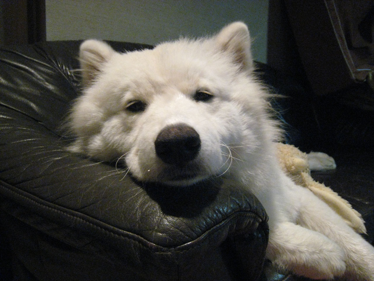 a0084916_9484135.jpg