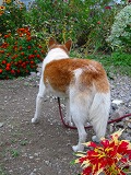 c0094621_10184666.jpg
