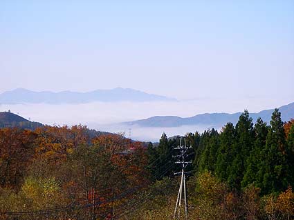 d0062721_2363111.jpg