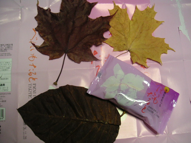 a0020929_1751985.jpg