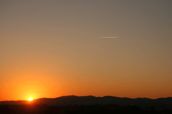 d0069235_01236.gif