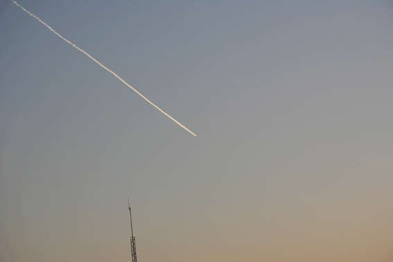 d0069235_06614.gif