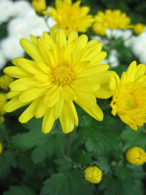 b0088037_2056394.jpg