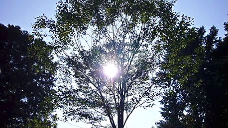 d0053940_15455374.jpg