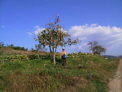 c0072843_1740679.jpg