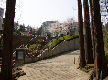 a0044046_0555543.jpg