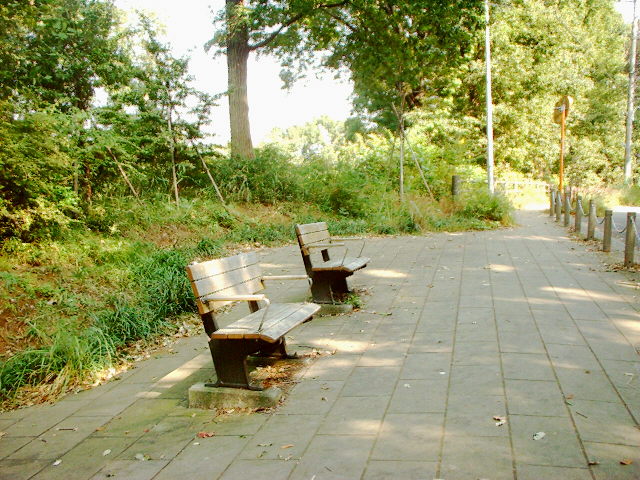 d0091754_1561521.jpg