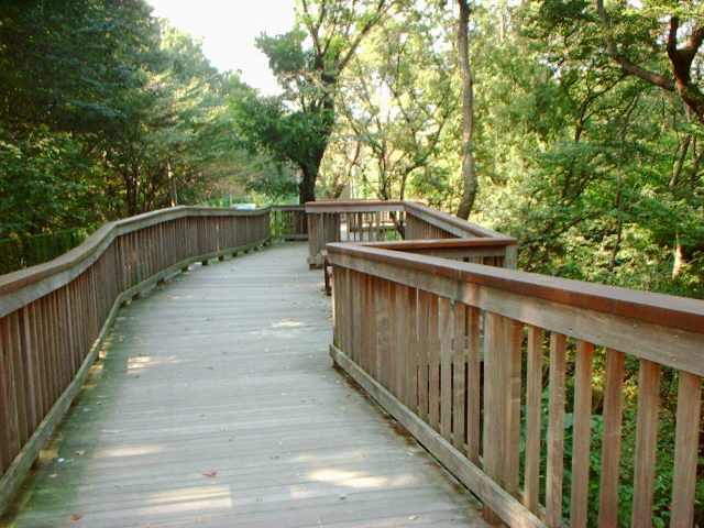 d0091754_2182914.jpg