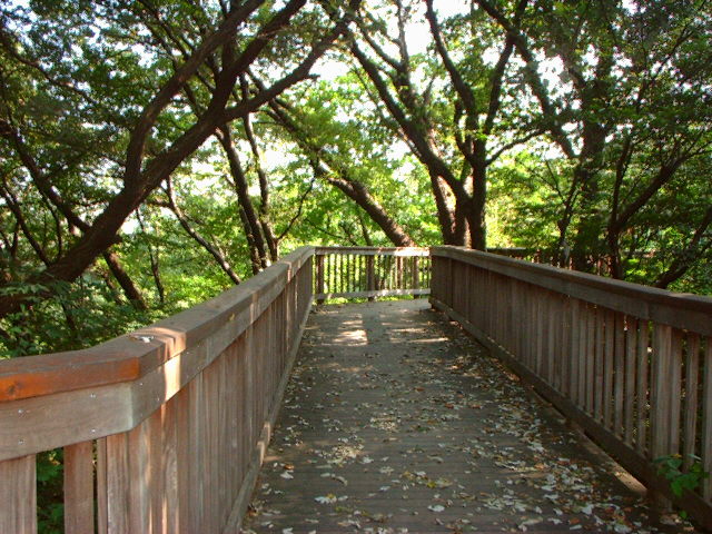 d0091754_2304030.jpg
