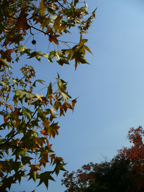 f0074659_2324257.jpg