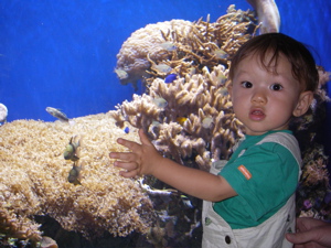 a0048361_1014273.jpg