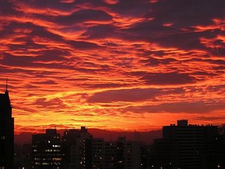 c0103368_2146341.jpg