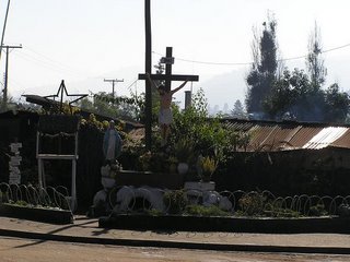 c0103368_215797.jpg