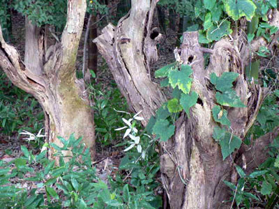f0086169_2238676.jpg