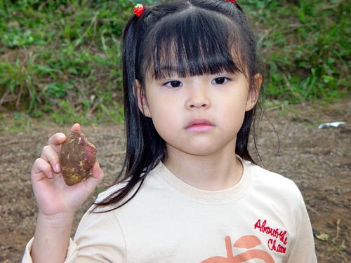 a0068370_03354.jpg