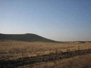 e0015270_1323672.jpg