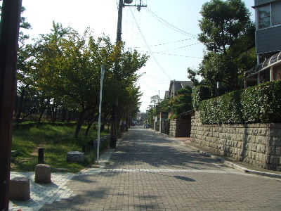 a0049275_15225874.jpg