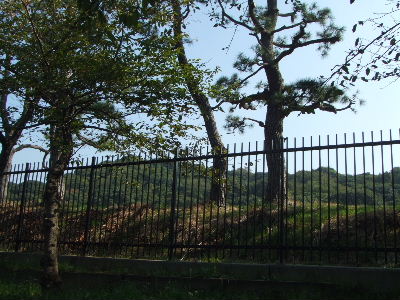 a0049275_15234017.jpg