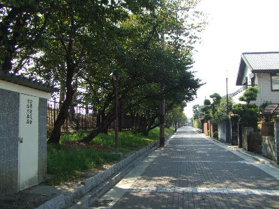 a0049275_15243316.jpg