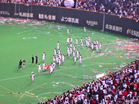 b0024177_451596.jpg