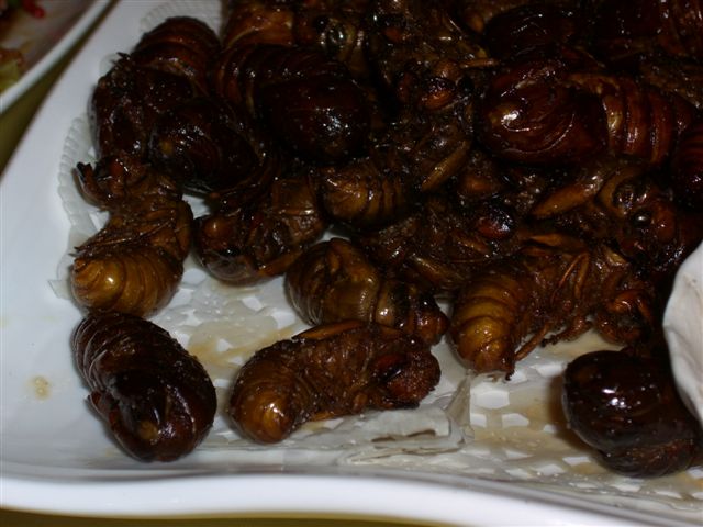 d0061489_2132442.jpg