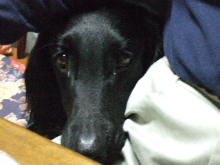 d0070289_1856851.jpg