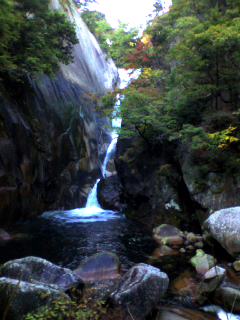 a0064290_1241650.jpg