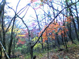 a0064290_1263656.jpg