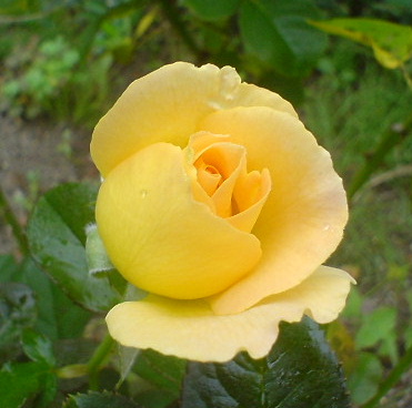 e0052690_22302755.jpg