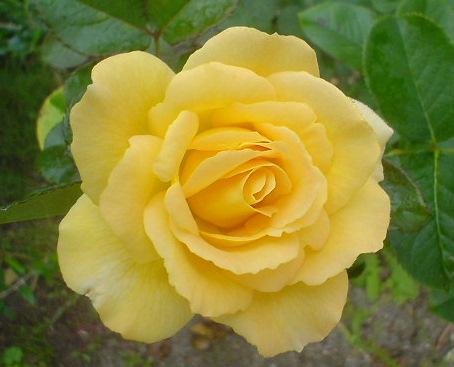 e0052690_22315114.jpg