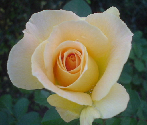 e0052690_22331645.jpg