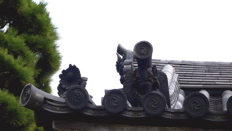 a0079292_1312249.jpg