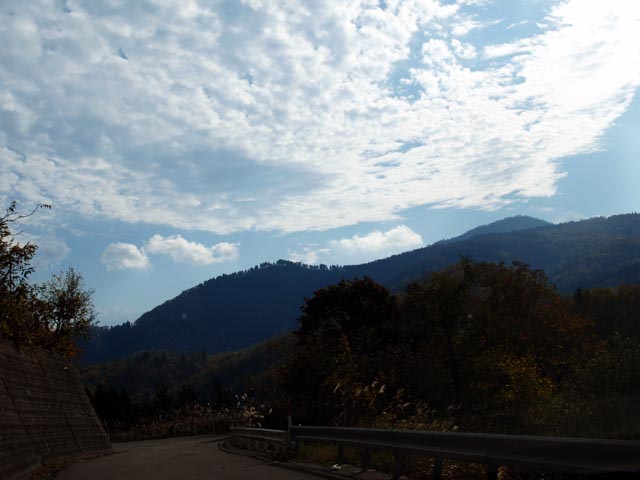 a0043395_19384257.jpg