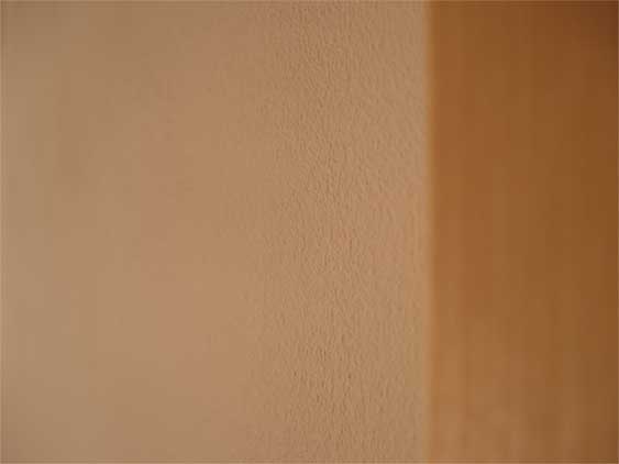 a0061599_174817.jpg