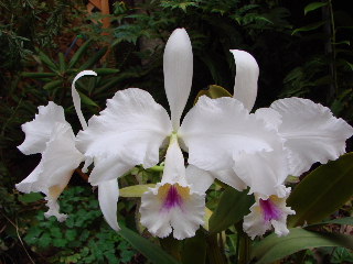d0007501_1951012.jpg