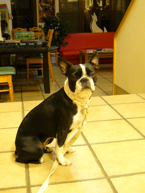 d0070702_230032.jpg