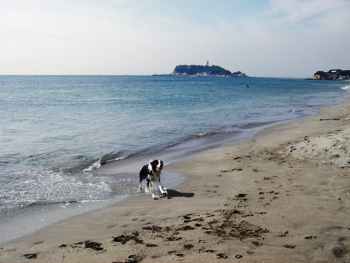 f0034602_17553918.jpg