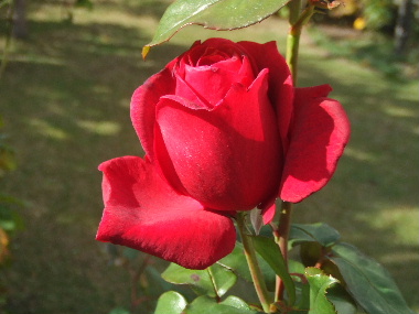 f0041606_2044374.jpg