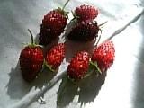 e0098908_23113522.jpg