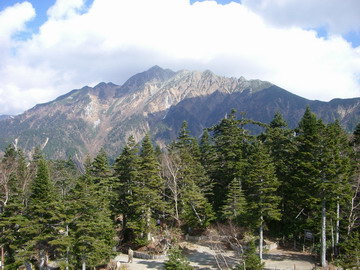 b0010914_0193062.jpg