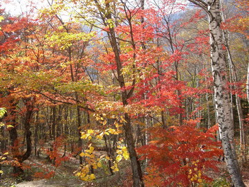 b0010914_02497.jpg