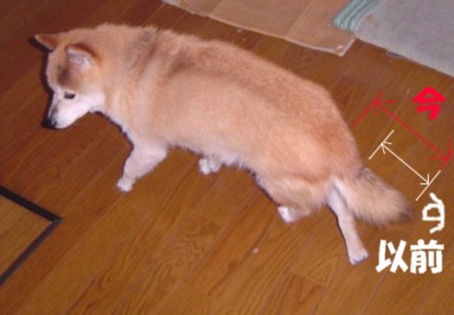 f0012924_7233118.jpg