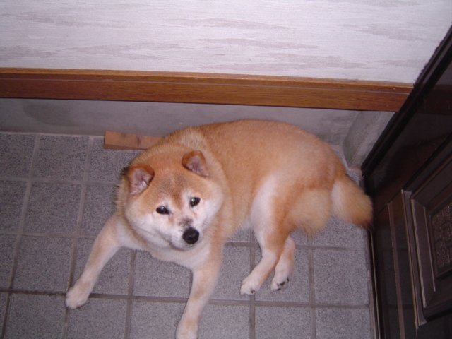 f0012924_731632.jpg